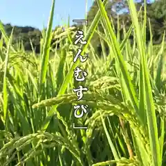 高司神社〜むすびの神の鎮まる社〜(福島県)