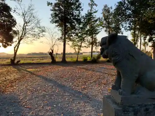 八幡神社の狛犬