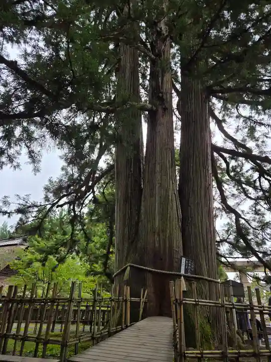 戸隠神社中社(長野県)