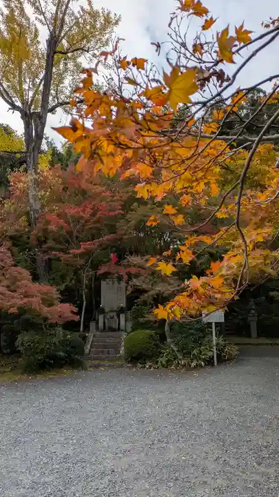 善法律寺(京都府)
