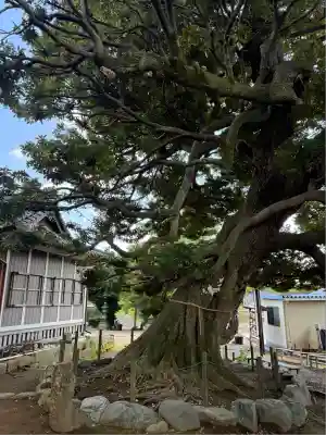 九重神社(埼玉県)