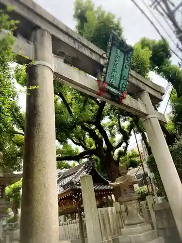 野田恵美須神社の鳥居