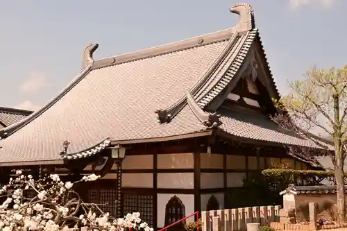 祥雲寺(愛媛県)