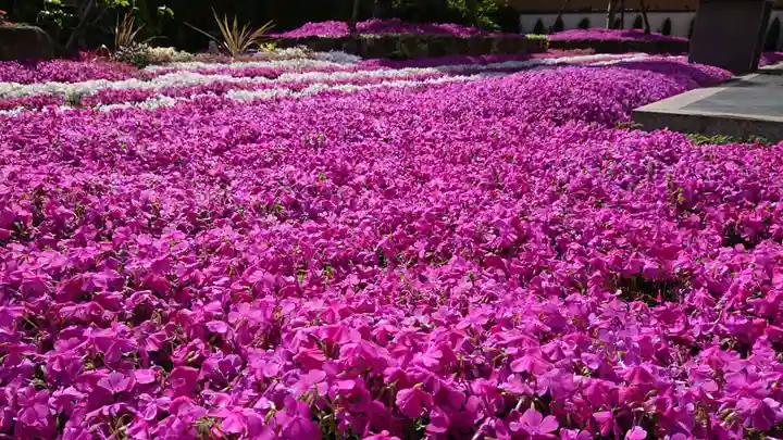 寿量山 速成寺の庭園