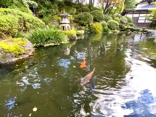 温泉寺(長野県)
