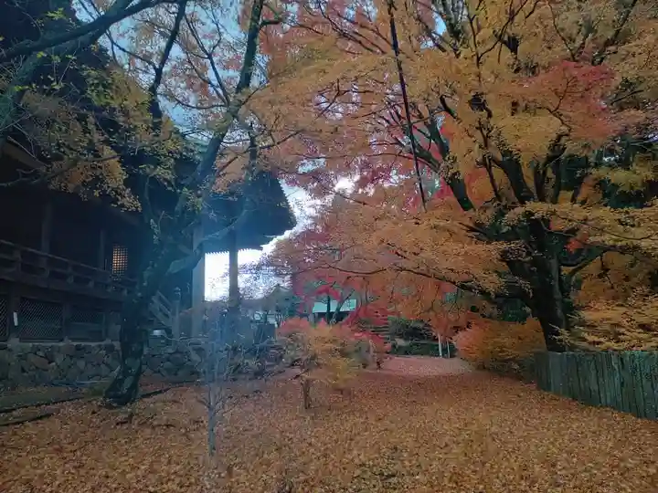 施福寺(大阪府)