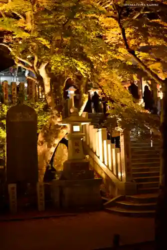 大山阿夫利神社(神奈川県)
