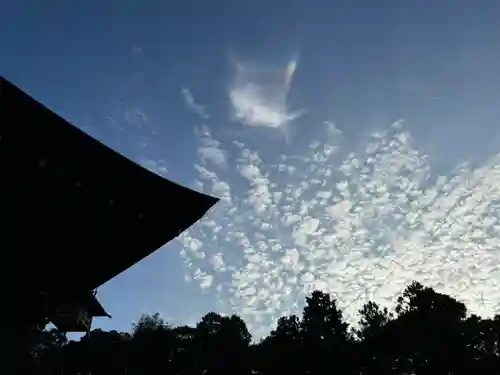 沙沙貴神社(滋賀県)