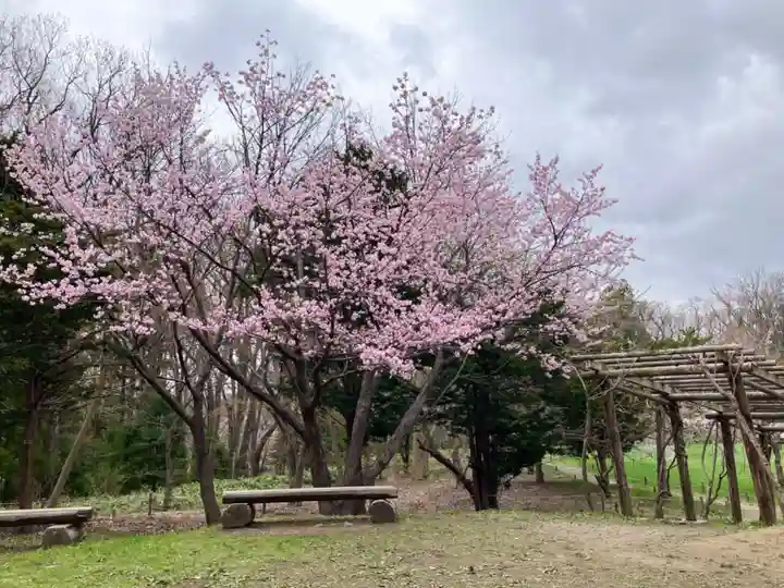北海道神宮の自然