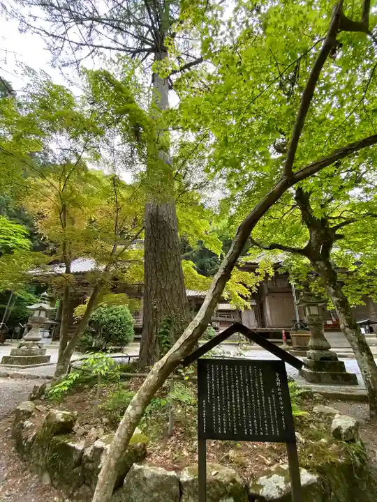 龍華寺(広島県)