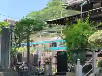 遍照院(神奈川県)