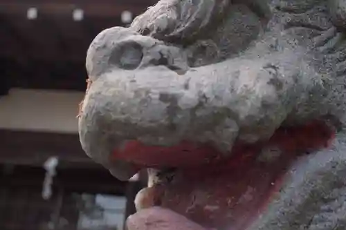 山梨岡神社の狛犬