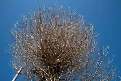 日吉八王子神社(東京都)