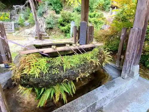 萬寿寺（お不動さん）の手水