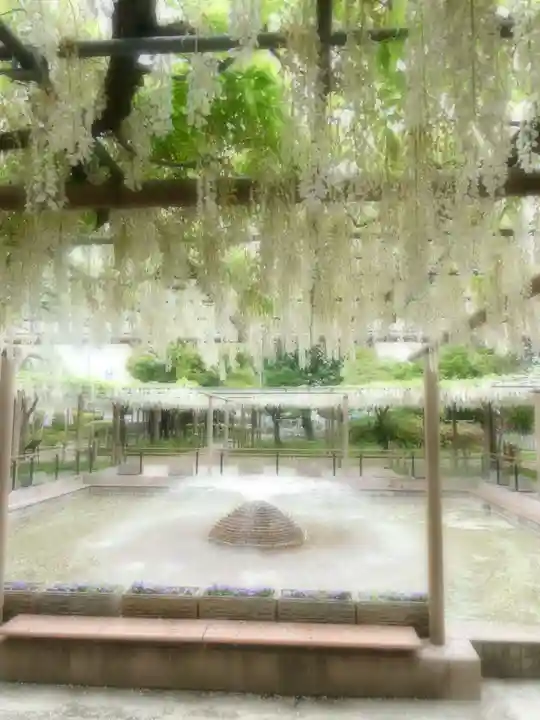 曼陀羅寺の庭園