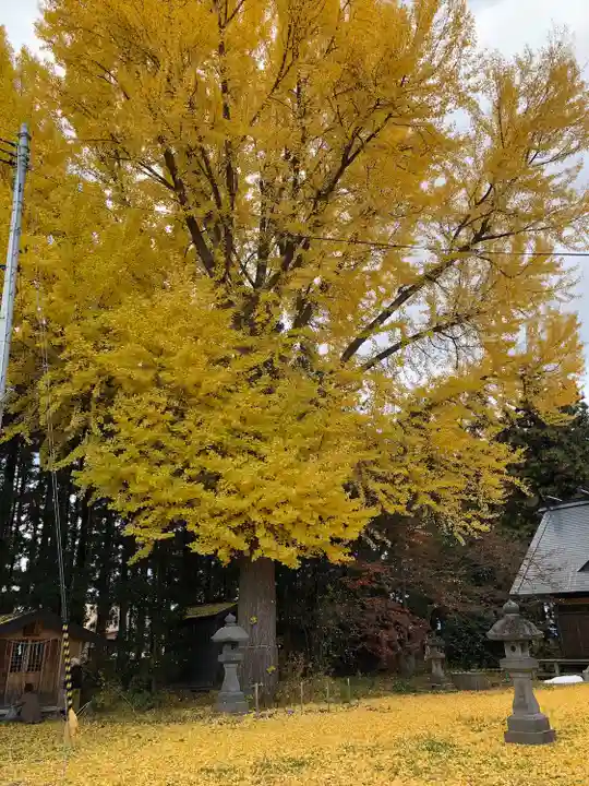 神明宮(青森県)