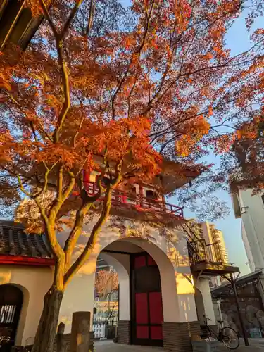成願寺(東京都)