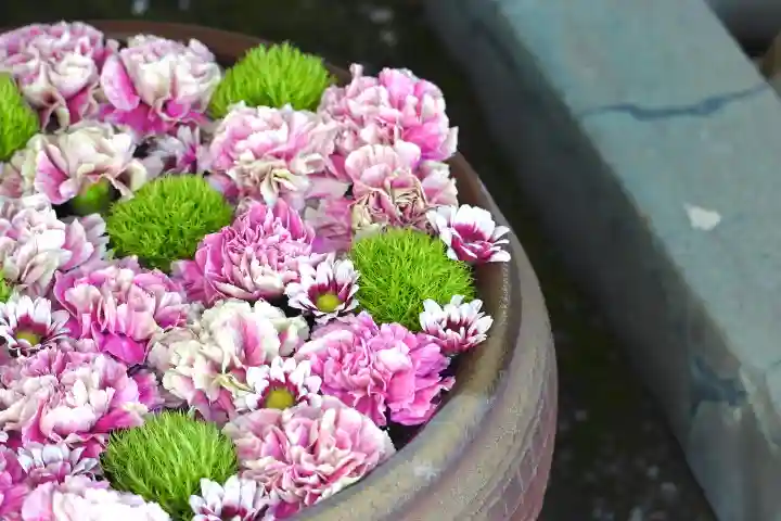 上尾御嶽神社の手水舎