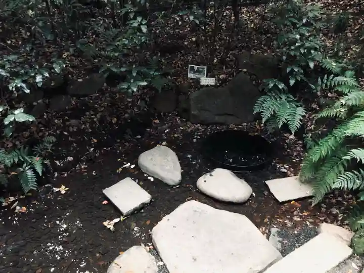 明治神宮(東京都)