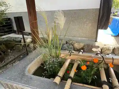 新羅神社の手水舎