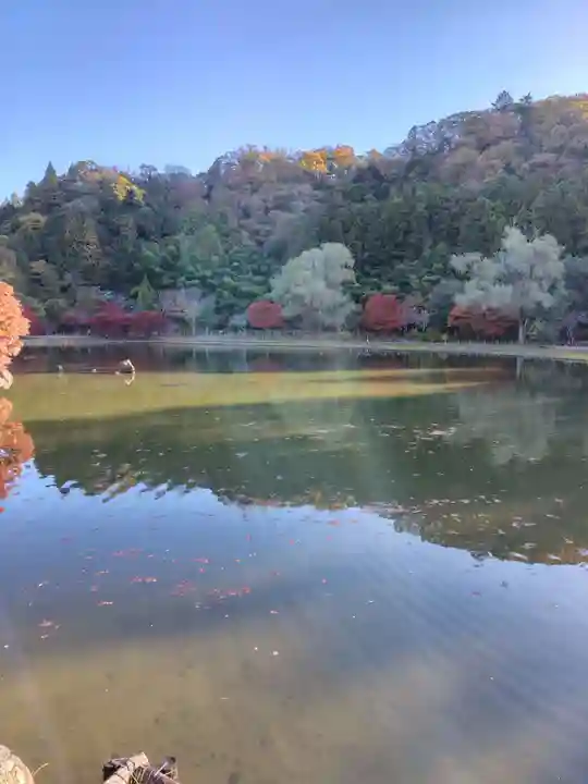 白水阿弥陀堂(福島県)