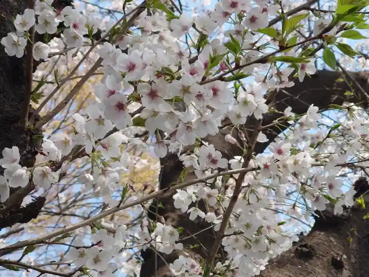 子聖神社(神奈川県)