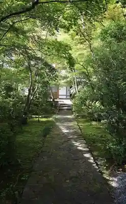 善法律寺(京都府)