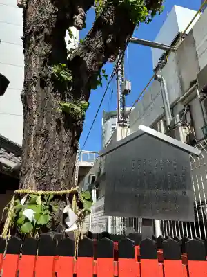 歯神社の{uncategorized: "未分類", other: "その他", undefined: "問題あり", building: "その他建物", grave: "お墓", sacred_gate: "鳥居", guardian: "狛犬", statue: "像", buddha: "仏像", history: "歴史", nature: "自然", garden: "庭園", animal: "動物", pagoda: "塔", temizu: "手水舎", mountain_gate: "山門・神門", sanctuary: "本殿・本堂", subordinate: "末社・摂社", art: "芸術", scenery: "景色", jizo: "地蔵", ema: "絵馬", goshuin: "御朱印", omikuji: "おみくじ", items: "授与品その他", amulet: "お守り", goshuincho: "御朱印帳", eats: "食事", festival: "お祭り", votive_dance: "神楽", shichigosan: "七五三参", wedding: "結婚式", experience: "体験その他", initially: "初詣", around: "周辺", anti_infection: "感染症対策"}