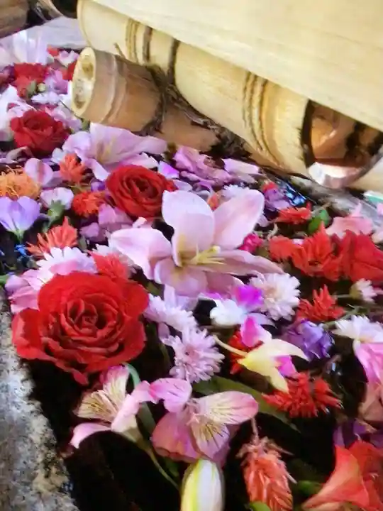 鳩森八幡神社の手水舎