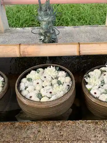 津島神社(愛知県)