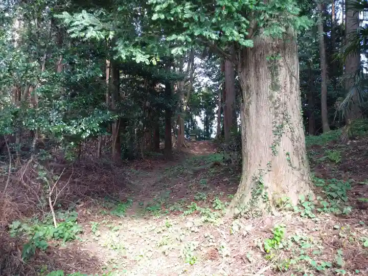 八坂神社/富士浅間神社の周辺