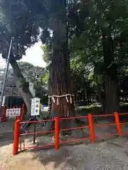 息栖神社(茨城県)