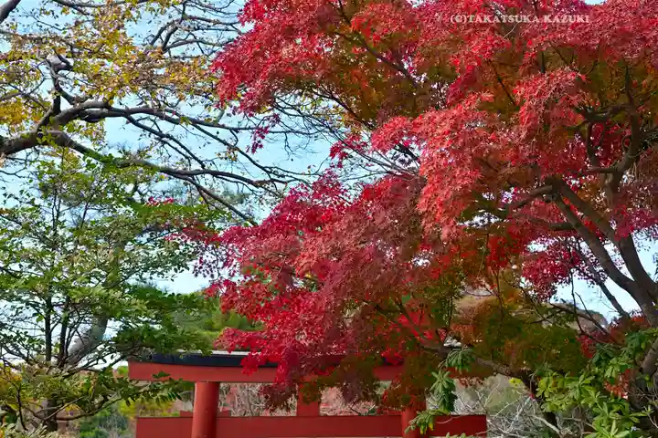 鶴岡八幡宮の自然