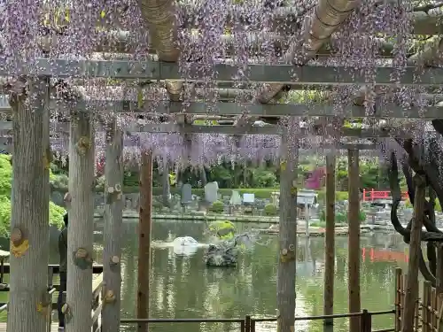 越ヶ谷久伊豆神社の{uncategorized: "未分類", other: "その他", undefined: "問題あり", building: "その他建物", grave: "お墓", sacred_gate: "鳥居", guardian: "狛犬", statue: "像", buddha: "仏像", history: "歴史", nature: "自然", garden: "庭園", animal: "動物", pagoda: "塔", temizu: "手水舎", mountain_gate: "山門・神門", sanctuary: "本殿・本堂", subordinate: "末社・摂社", art: "芸術", scenery: "景色", jizo: "地蔵", ema: "絵馬", goshuin: "御朱印", omikuji: "おみくじ", items: "授与品その他", amulet: "お守り", goshuincho: "御朱印帳", eats: "食事", festival: "お祭り", votive_dance: "神楽", shichigosan: "七五三参", wedding: "結婚式", experience: "体験その他", initially: "初詣", around: "周辺", anti_infection: "感染症対策"}