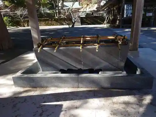 安房神社の手水舎