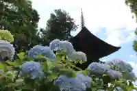 国宝 大法寺の自然