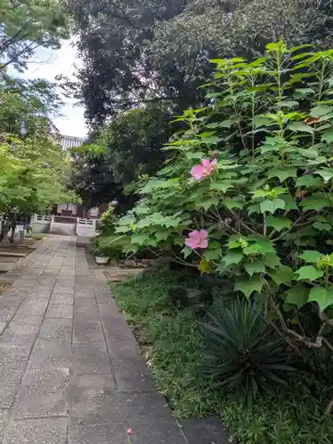 蓮昌寺(東京都)