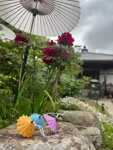當麻寺西南院の庭園