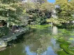 富士山本宮浅間大社(静岡県)