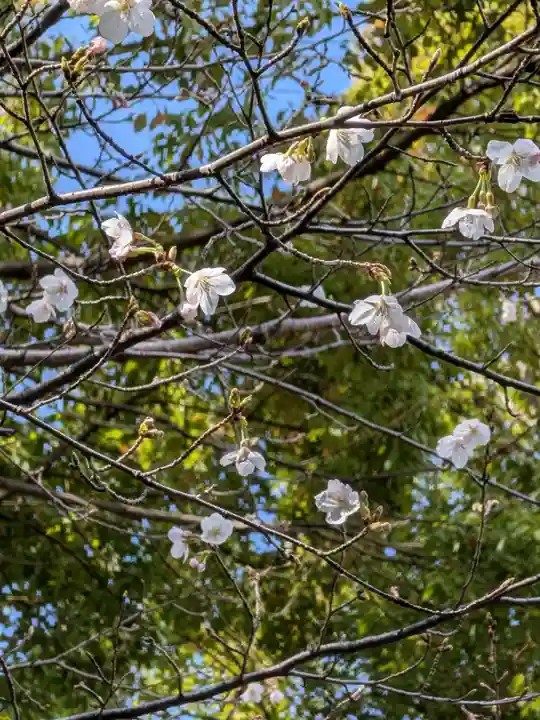 渋谷氷川神社(東京都)