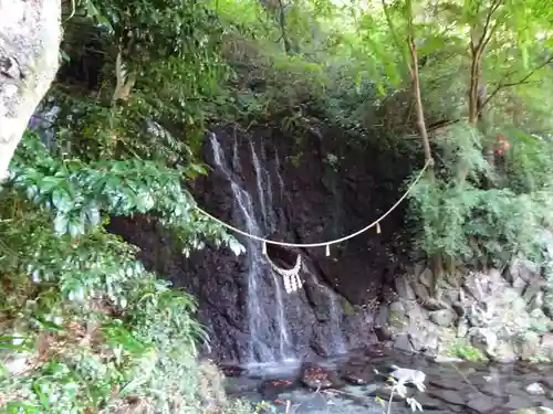 玉簾神社の自然