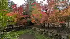 鍬山神社(京都府)