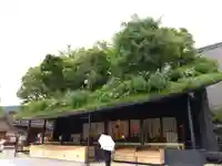 太宰府天満宮の本殿・本堂