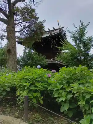 白山神社(東京都)