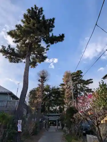 田端神社(東京都)