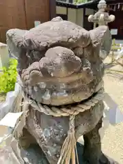 柴籬神社の狛犬