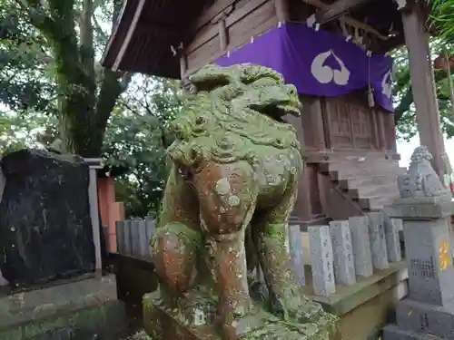 鷲尾愛宕神社の狛犬