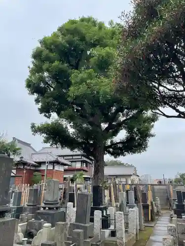 観音寺(東京都)