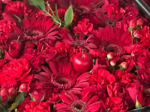 帯廣神社の手水舎