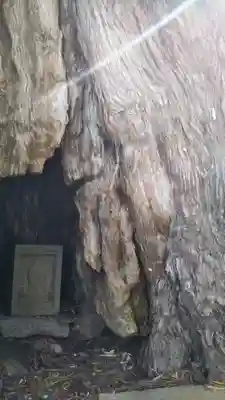 前玉神社のその他建物